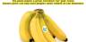 NC Did you know Bananas